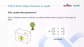 1.1 木属性：仁慈与坚韧并存