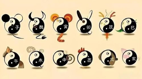 2024年主要生肖运势综合分析报告