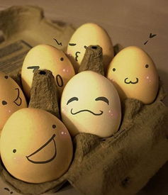 鸡蛋的生肖是什么，鸡蛋碰石头又代表哪个生肖的含义是什么？