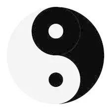 1. 太极图与阴阳轮回的哲理