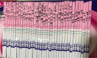 巳中藏庚：仁义相合