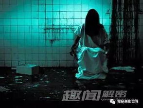 一、 梦中人物身份的历史溯源及其象征意义