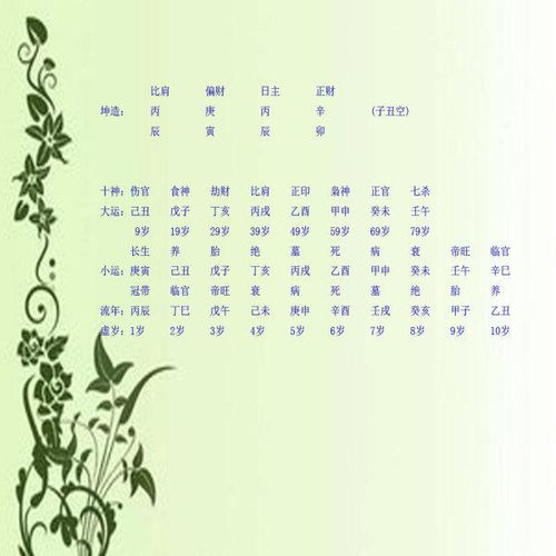 夫妻宫丁亥日柱与已丑日柱婚姻是否和谐？