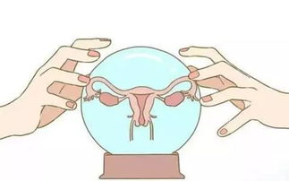 性生活与怀孕：时机很十分沉关键