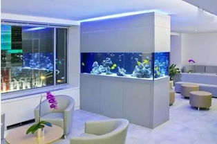 一：哪些人适合养鱼？