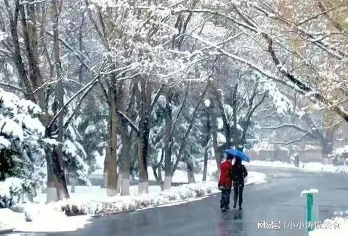 二、 地域差异与文化阐释的结构性比较