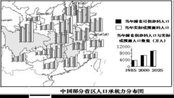 数字化与粮食价值链的构建