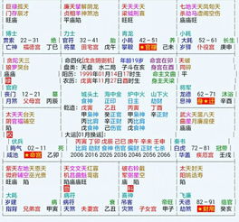 三较大财主星之对比