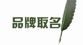 商标名称的约束