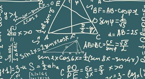 一、  作业的深层价值：从教学诊断到能量反馈