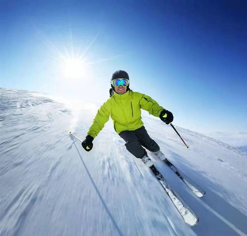 【玄学时间】2026年滑雪黄历