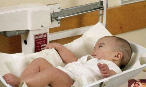 宝宝出生时的体重：多维度的健康评估指标