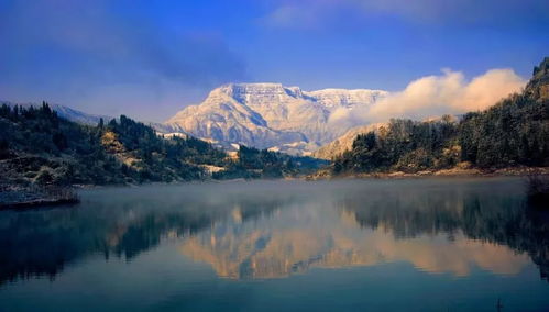 重要提醒 & 防坑指南 （请认真阅读！！！）