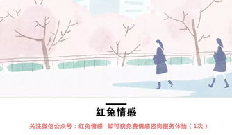 一、 生肖性格分析在感情挽回中的应用