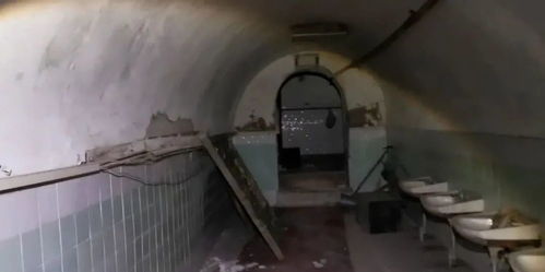 1. 定期清理与整理