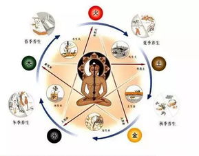 丙戌年五行穿衣，丙戌时生人子女如何选择合适的服饰？