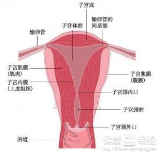 怎样面对和处理宫内感染？