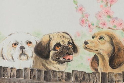 一、狗系人格の迷之操作