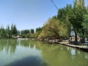 吃喝玩乐：全是智商税