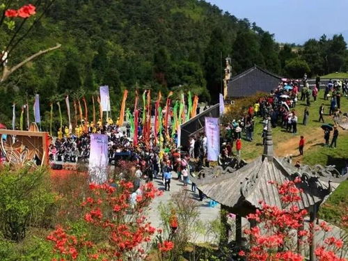 金华市区旅游景点推荐：一场说走就走的“迷之旅行”