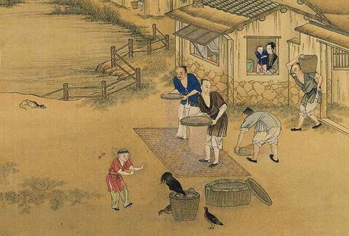 己丑日五行穿衣，为何婚姻如此不幸？