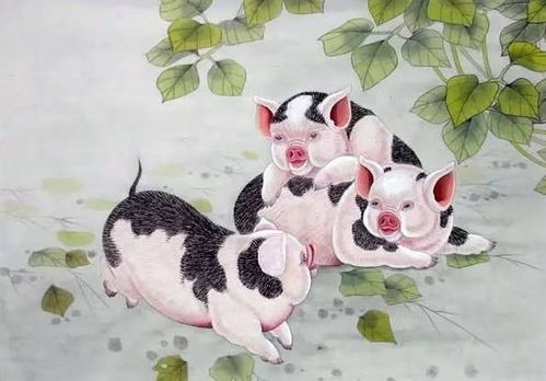 2021年猪运势和2022年每月猪运势完整版具体内容是什么？