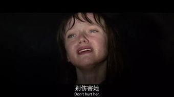 C．传统文化视角：生肖、 星座及风水解析