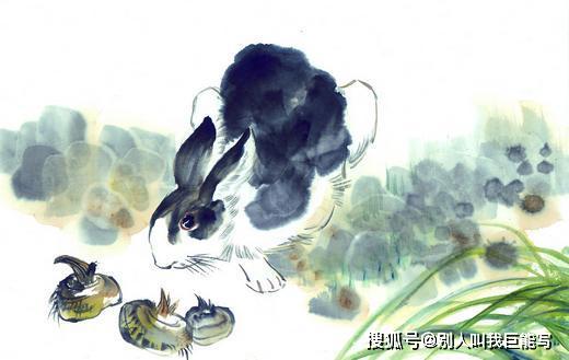 2026年属兔的超级贵人是谁？属兔人2026年的贵人运具体表现为何？