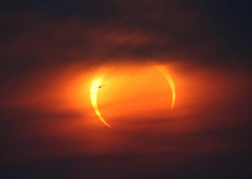 （一）内在修炼：心性净化与精神力提升