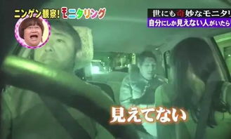 一、  ：夜色下的阴阳界域与幽冥交通的玄学审视