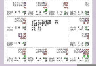 第三章 凶煞冲克下的负面异化及其生存困境