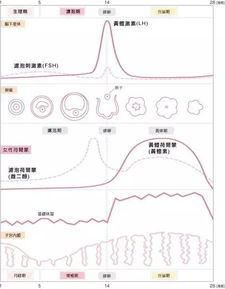 在月经期迅速完成时能够做哪些样的运动？