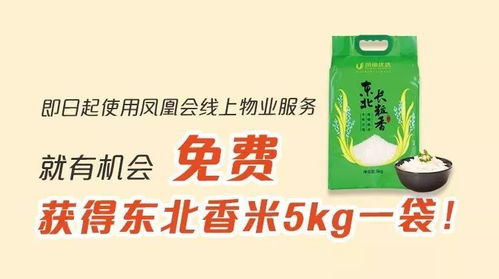 要带这些奇怪东西