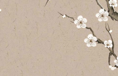 如何有效化解蛇女与属蛇人婚姻中的潜在冲突和矛盾？