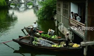 交通：一场灾难的开始