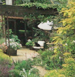 庭院北风水红豆杉应该放在哪个位置最合适？