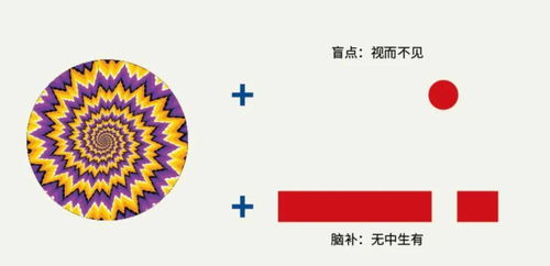 现代化社会周边环境中的适用范畴