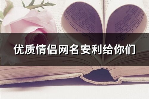 二、 探究方法与样本构成概述