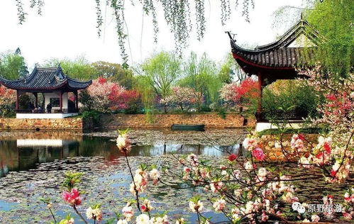 梅园门票价格表（2026年魔幻版）