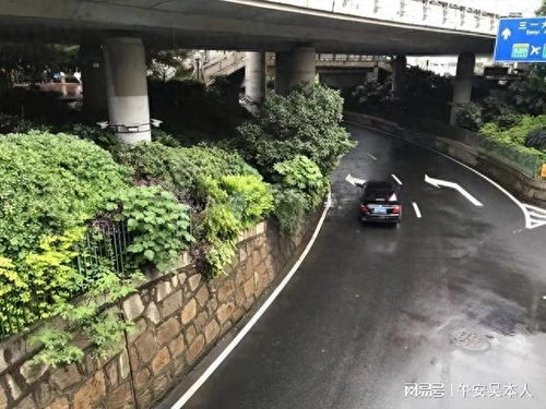 桥的数量得讲究