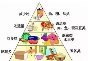 1.2 以属鼠者为例的膳食建议