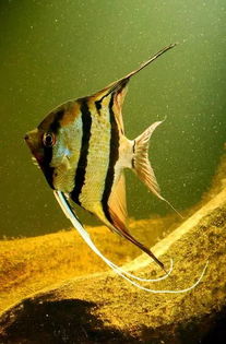 四、  运势走向与财富积累的相学解读