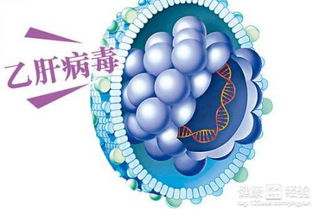 4. 其他有可能的病因及鉴别诊断