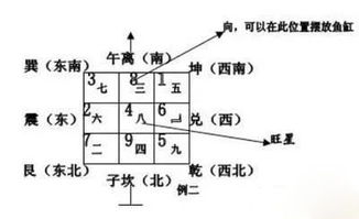 ：养鱼与风水色彩的交互机制