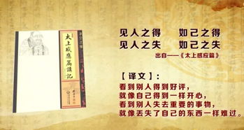雅韵丛心，爆款良好名有哪些推荐？