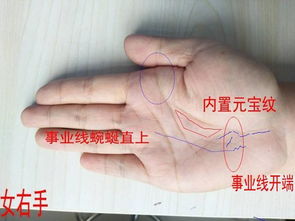 手相中众多皱纹，这三大纹路究竟有何特殊含义？