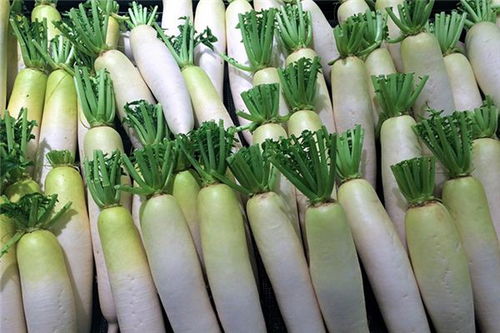 挖萝卜？挖到祖坟了吧