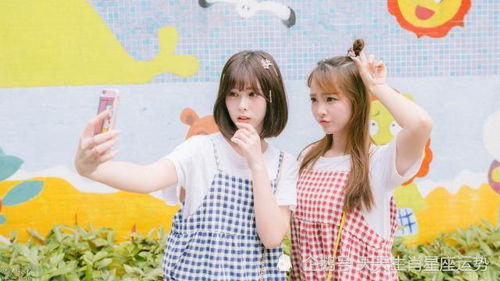 少年风姿和青涩年华分别对应哪个生肖？