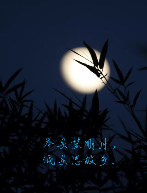 静默消逝：光影退去后的无力感