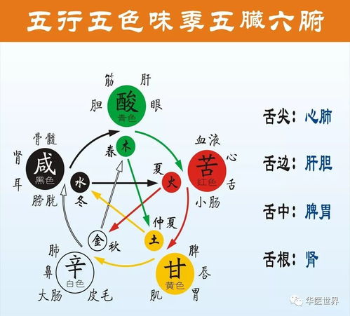 五行学说中，色脉关系如何与五行色穿衣早分亨相联系？